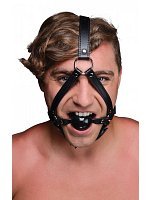 72181-head-harness-with-ball-gag-108248.jpg
