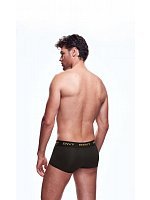 78765-envy-transparent-men-s-shorts-black-127794.jpg