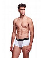 78766-envy-transparent-men-s-shorts-white-127795.jpg