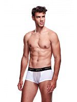 78766-envy-transparent-men-s-shorts-white-176808.jpg