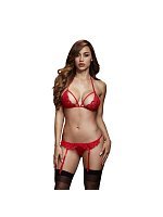 81309-baci-lace-garter-set-red-136719.jpg