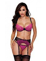 81344-baci-3-piece-garter-set-pink-black-165229.jpg