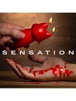 82522-temptasia-sm-vegan-candle-fox-140713.jpg