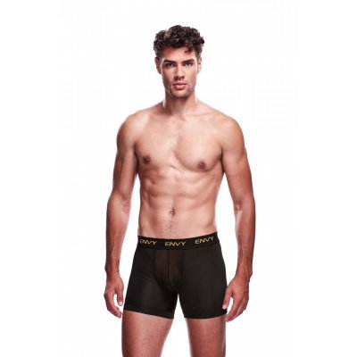 Envy Transparent Mesh Shorts